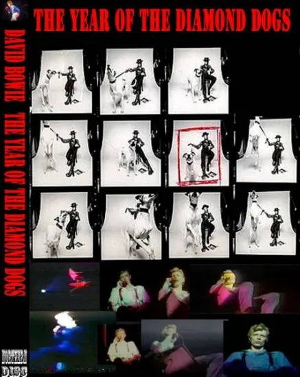 DAVID BOWIE / El año del perro de diamante (2 DVDR)
