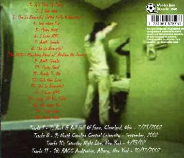 ANDREW W.K. / THE ZEN OF POSITIVE PARTYING (1CD)