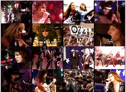 VA (BON JOVI, OZZY OSBOURNE, MOTLEY CRUE, SCORPIONS, ETC.) / FESTIVAL MUSICAL DE LA PAZ DE MOSCÚ PRO SHOT (2DVD)