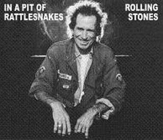 THE ROLLING STONES / IN A PIT OF RATTLESNAKES VGP-352 (4CD)
