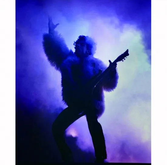 PRINCE / CAMILLE COLLECTOR'S EDITION REMIX AND REMASTERS EXPANDED ALBUM (2CD)