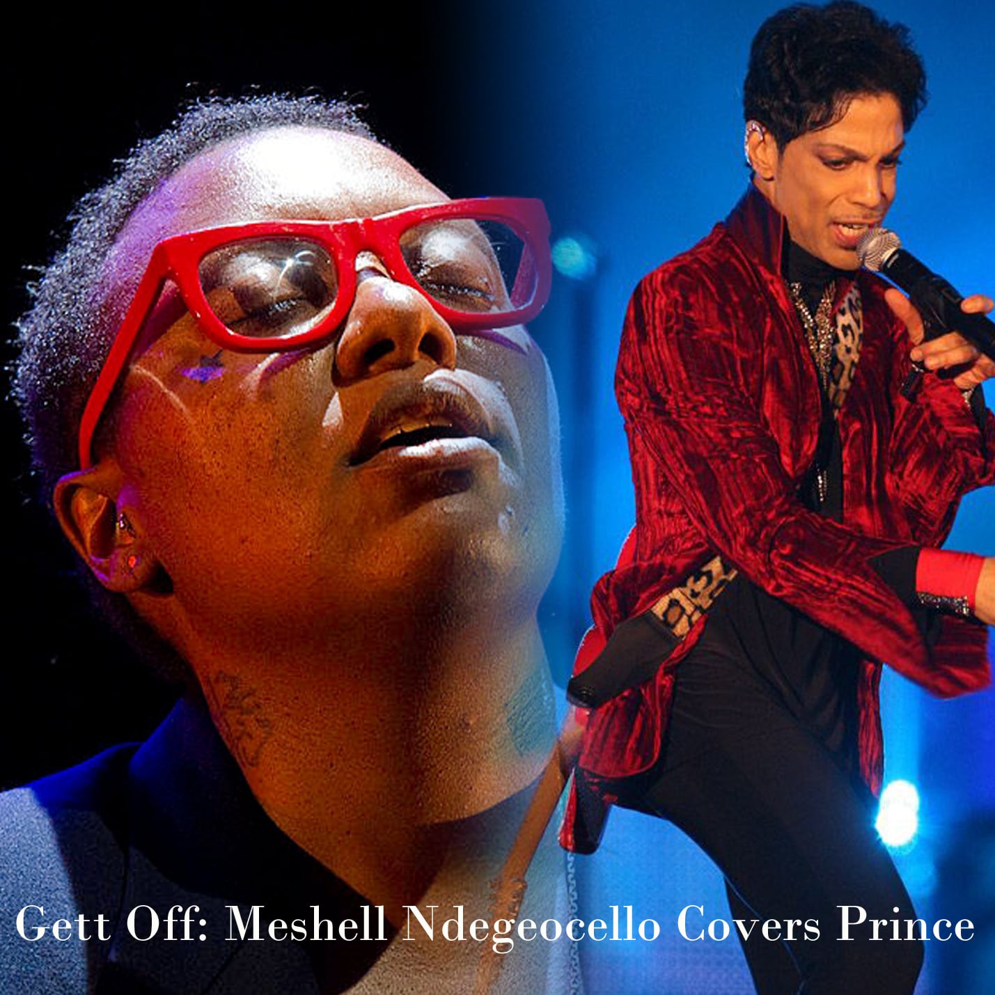 Meshell Ndegeocello / Gett Off Meshell Ndegeocello Covers Prince (2CDR)