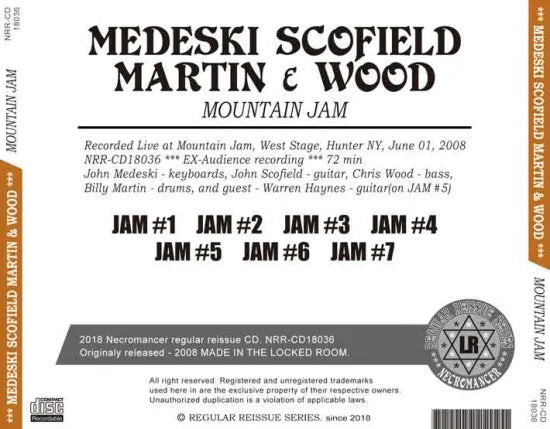 MEDESKI SCOFIELD MARTIN & WOOD / MOUNTAIN JAM (1CDR)