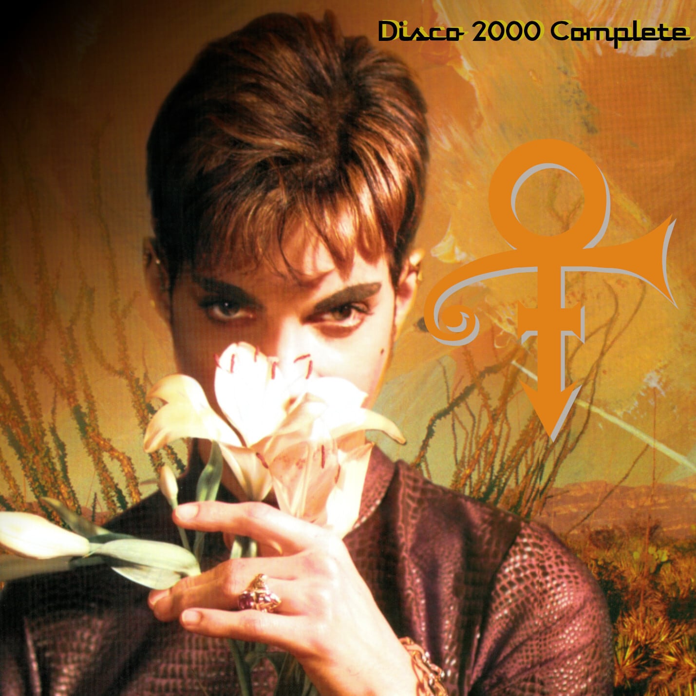 PRINCE / Complete Disco 2000 (2CDR)