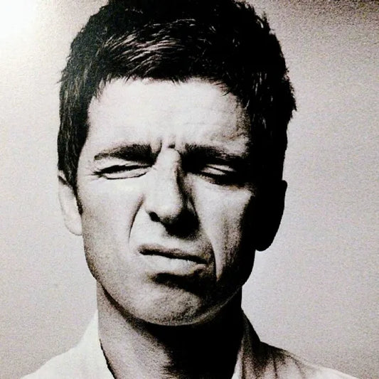 Noel Gallagher's High Flying Birds / At Budokan First Japan Tour 2015 (2CDR)