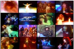 KATE BUSH / LIVE AT HAMMERSMITH ODEON THE WHOLE STORY JAPANESE LASER DISC EDITION PRO SHOT (2DVDR)