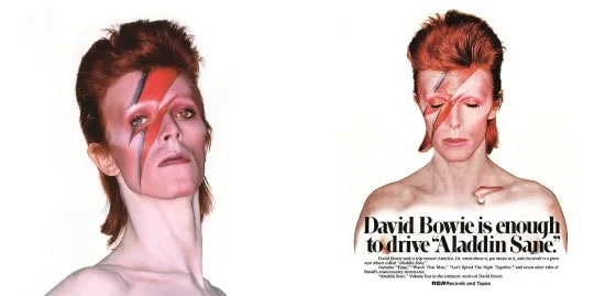 DAVID BOWIE / ALADDIN SANE PREMIUM MASTER COLLECTION (1CD+1DVD)