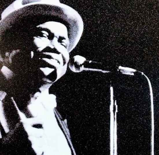 WILLIE DIXON / CHICAGO 1974 CAJA DE SONIDO (1 CD)