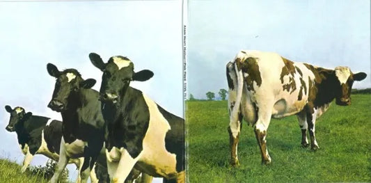 FUNDA DE PAPEL PINK FLOYD / ATOM HEART MOTHER (1 CD)