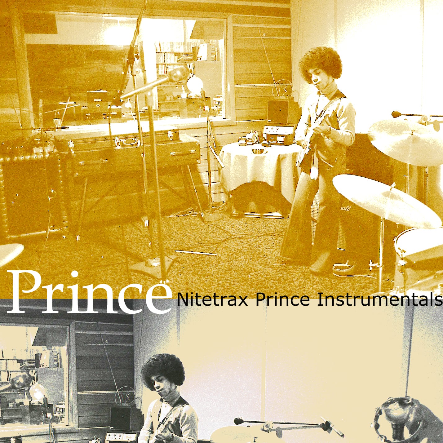 Prince / Nitetrax Prince Instrumentals (1 CDR)