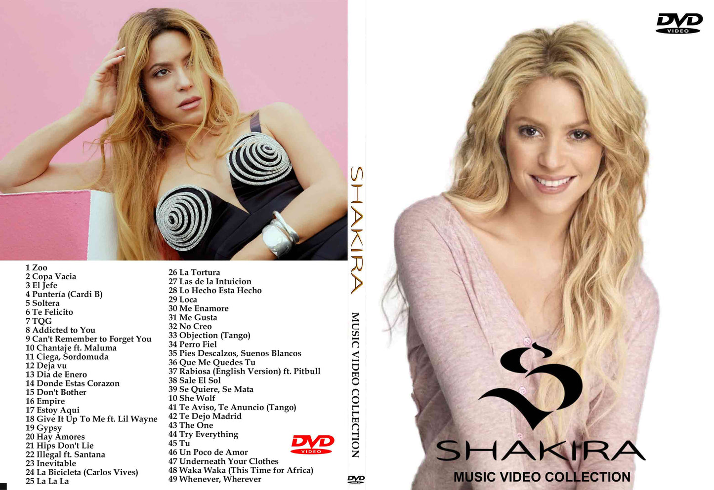 Shakira / Music Video Collection (1DVD)