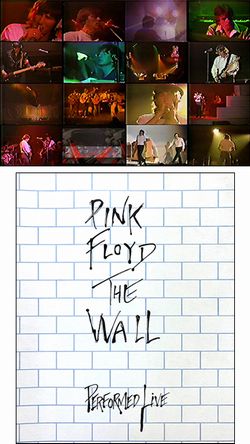 PINK FLOYD / DIVIDED WE FALL THE WALL LIVE AT EARLS COURT (2DVDR)