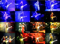 ERIC CLAPTON / FRANKFURT 1990 EL VÍDEO (1 DVDR)