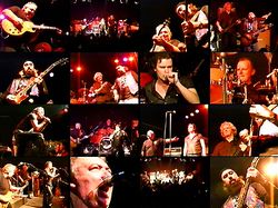 M3 CLASSIC WHITESNAKE / LORSCH 2005 (1DVDR)