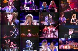 ERIC CARMEN / TOKYO 1980 PRO SHOT (1DVDR)