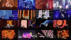 RED HOT CHILI PEPPERS / TOKYO DOME 2024 1.ª NOCHE EL VIDEO (1 DVDR)