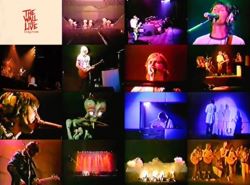 PINK FLOYD / THE WALL LIVE 1980 Curation PRO SHOT (1DVDR)