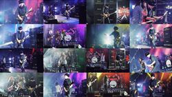 MICHAEL SCHENKER GROUP / STONEDEAD FESTIVAL 2022 PRO SHOT (1DVDR)