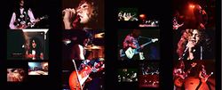 LED ZEPPELIN / LONG TALL SALLY ROYAL ALBERT HALL1970 ALTERNATE FOOTAGE PRO SHOT (1DVDR)