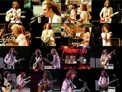 PETER FRAMPTON / DAY ON THE GREEN 1977 PRO SHOT (1DVDR)