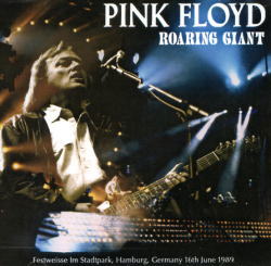 PINK FLOYD / ROARING GIANT AMBURGO 1989 (2 CD)