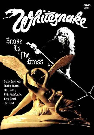 WHITESNAKE / Snake In The Grass PRO-SHOT (1DVDR)