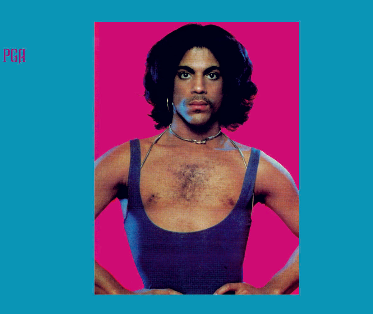 Prince Album 1979 Collector's Edition Remix And Remasters Expanded 2CD