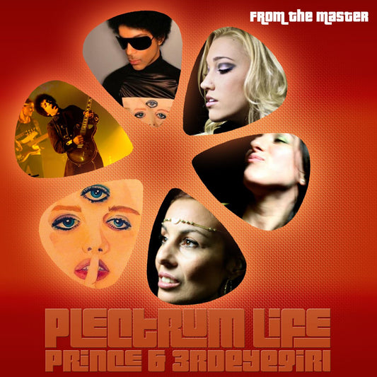Prince & Third Eye Girl / Plectrum Life from the master (2CDR)