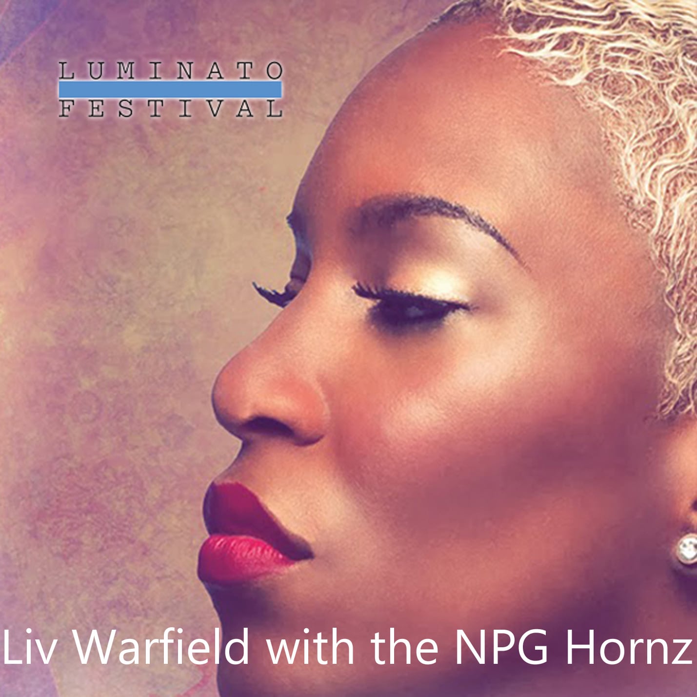 Liv Warfield & The NPG Horns / Luminato Festival (2CDR)