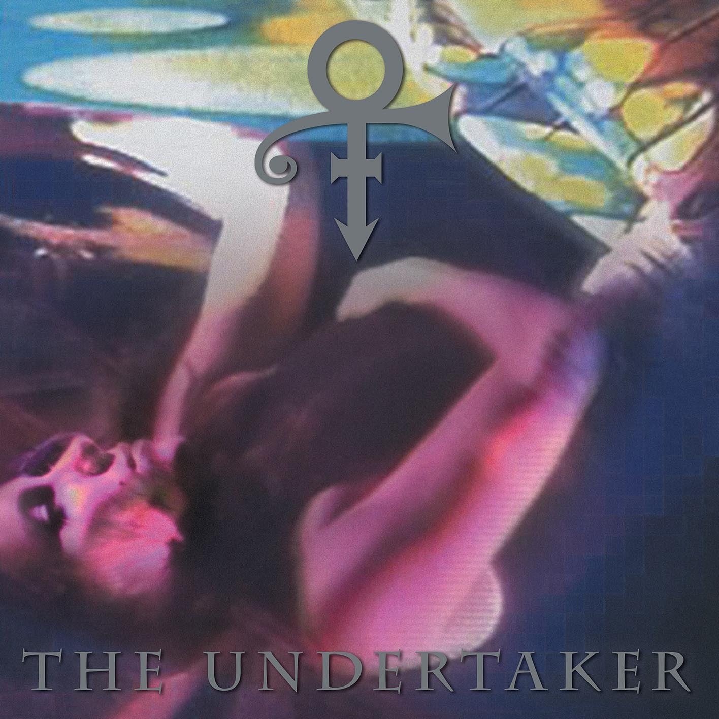 Prince / The Undertaker (1CDR+1DVDR)