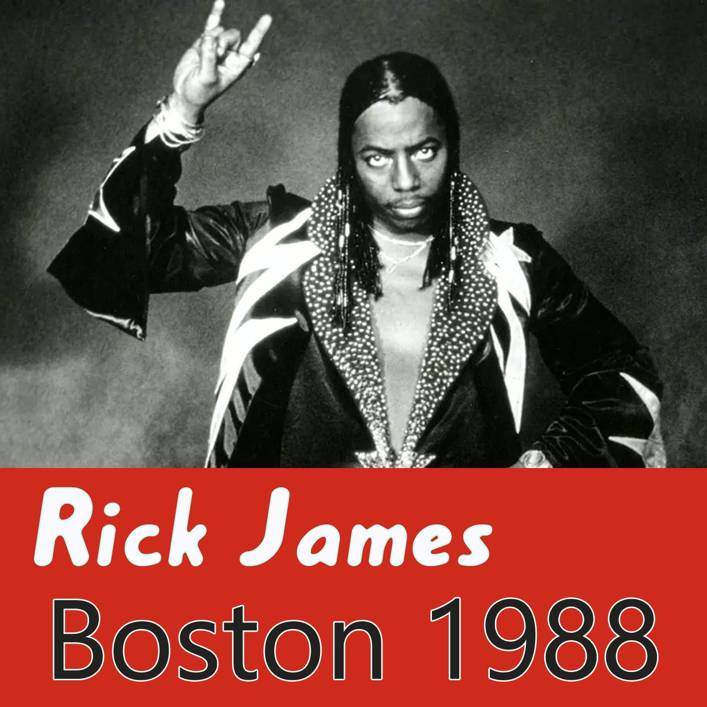 Rick James / Boston 1988 (1 CD)