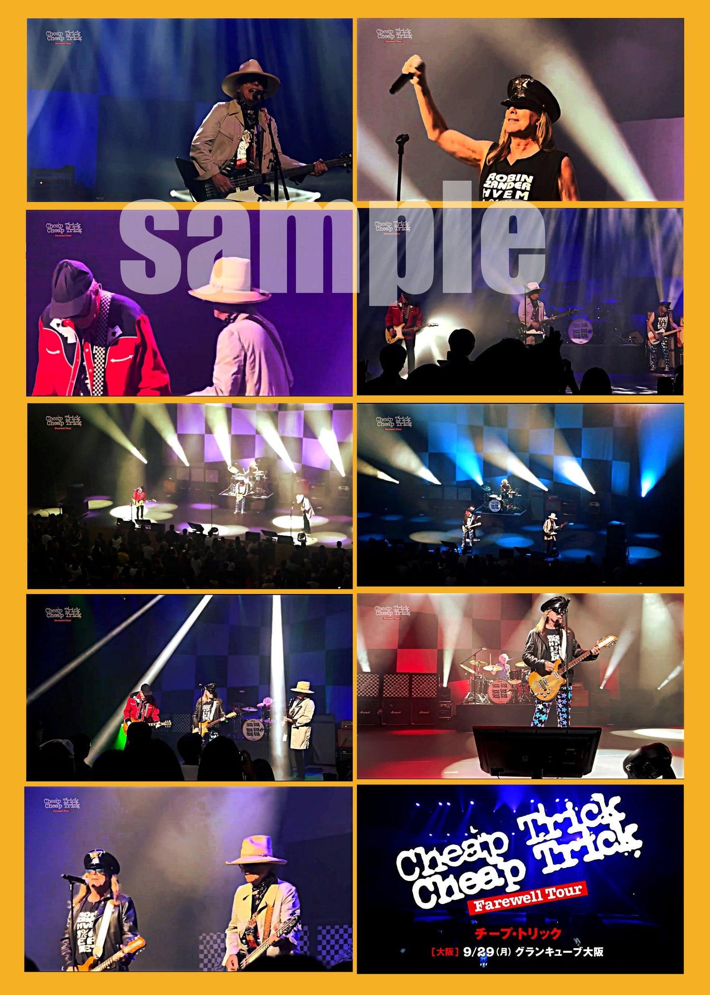 Cheap Trick / Farewell Japan Tour 2025 Giappone spettacolo uno (1DVDR)