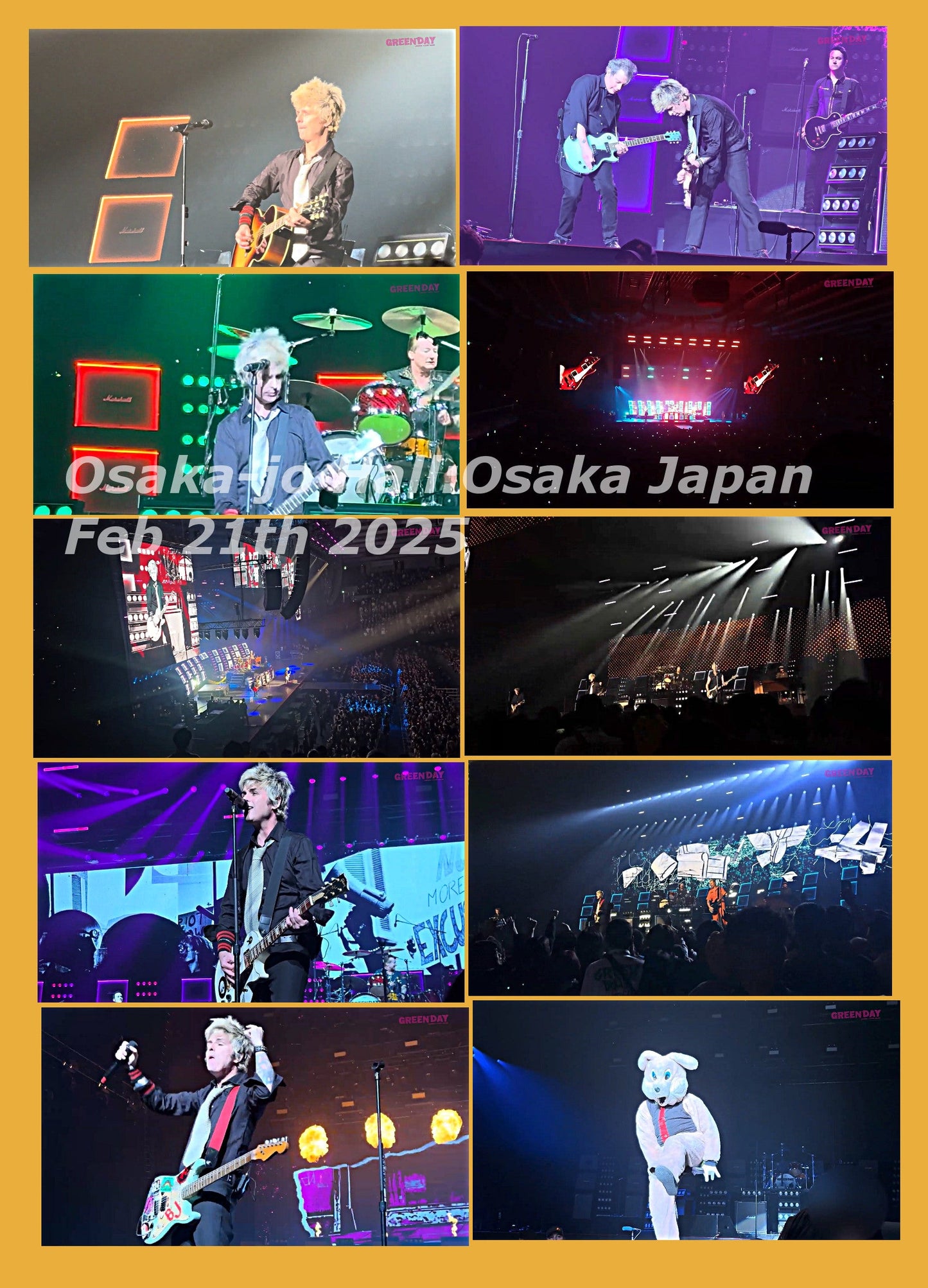 Green Day / The Saviors Tour in Giappone 2025 (1DVDR)