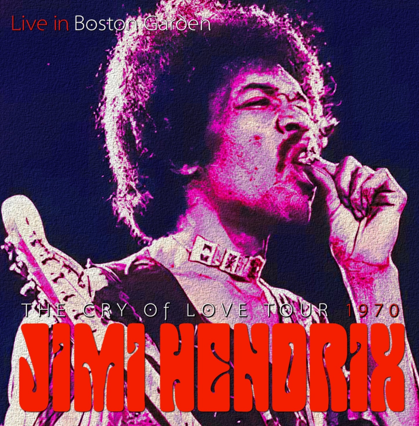 Jimi Hendrix / Cry of Love Tour 1970 Boston Garden (1CDR)