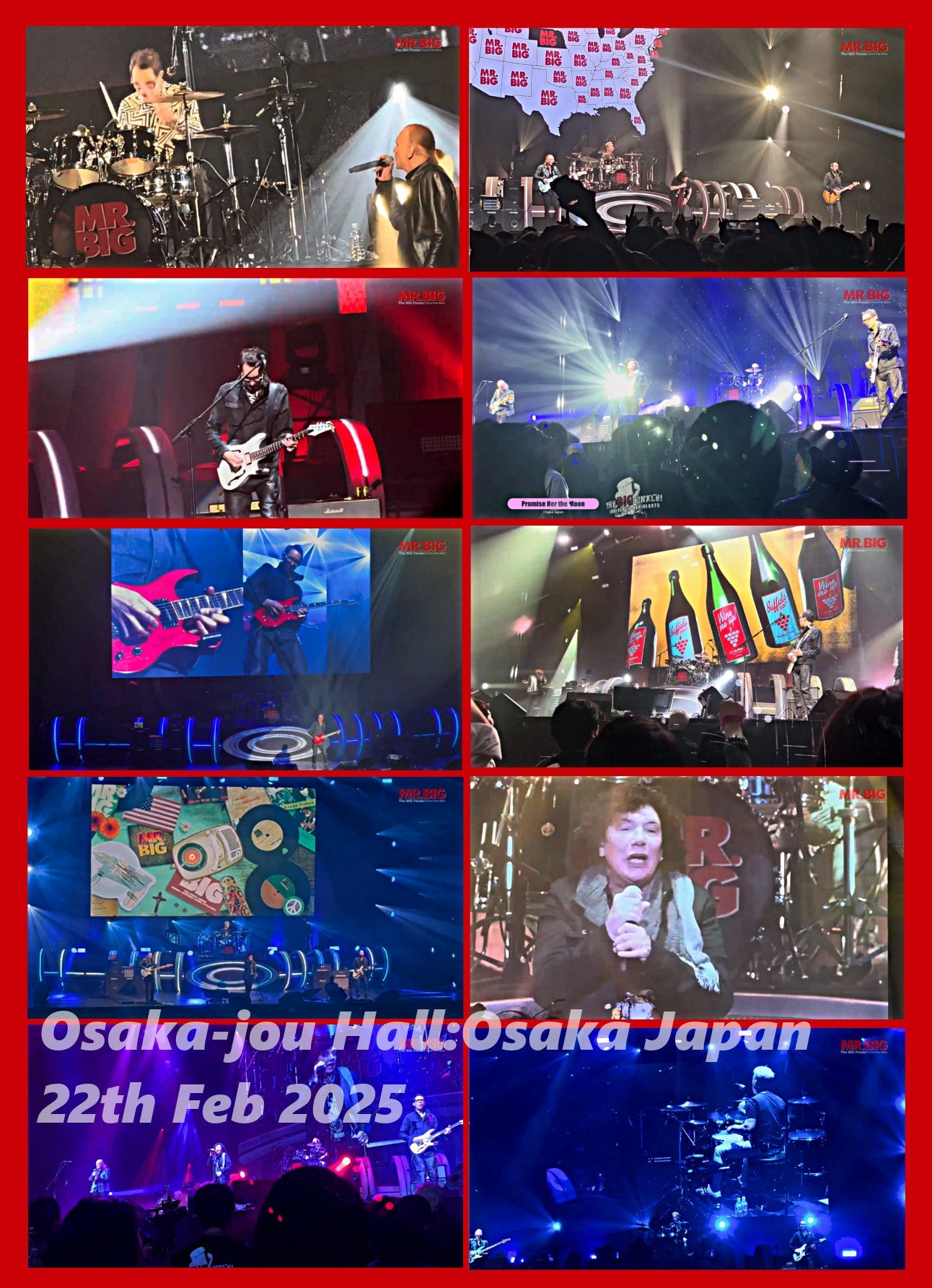 Mr. Big / Il grande finale! Per sempre nei nostri cuori Tour in Giappone 2025 (1DVDR)