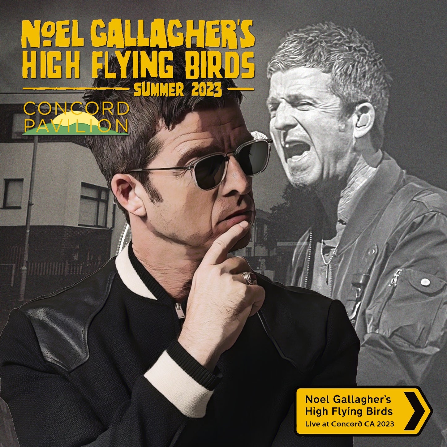 Noel Gallagher's High Flying Birds / Council Skies Tour 2023 (1CDR)