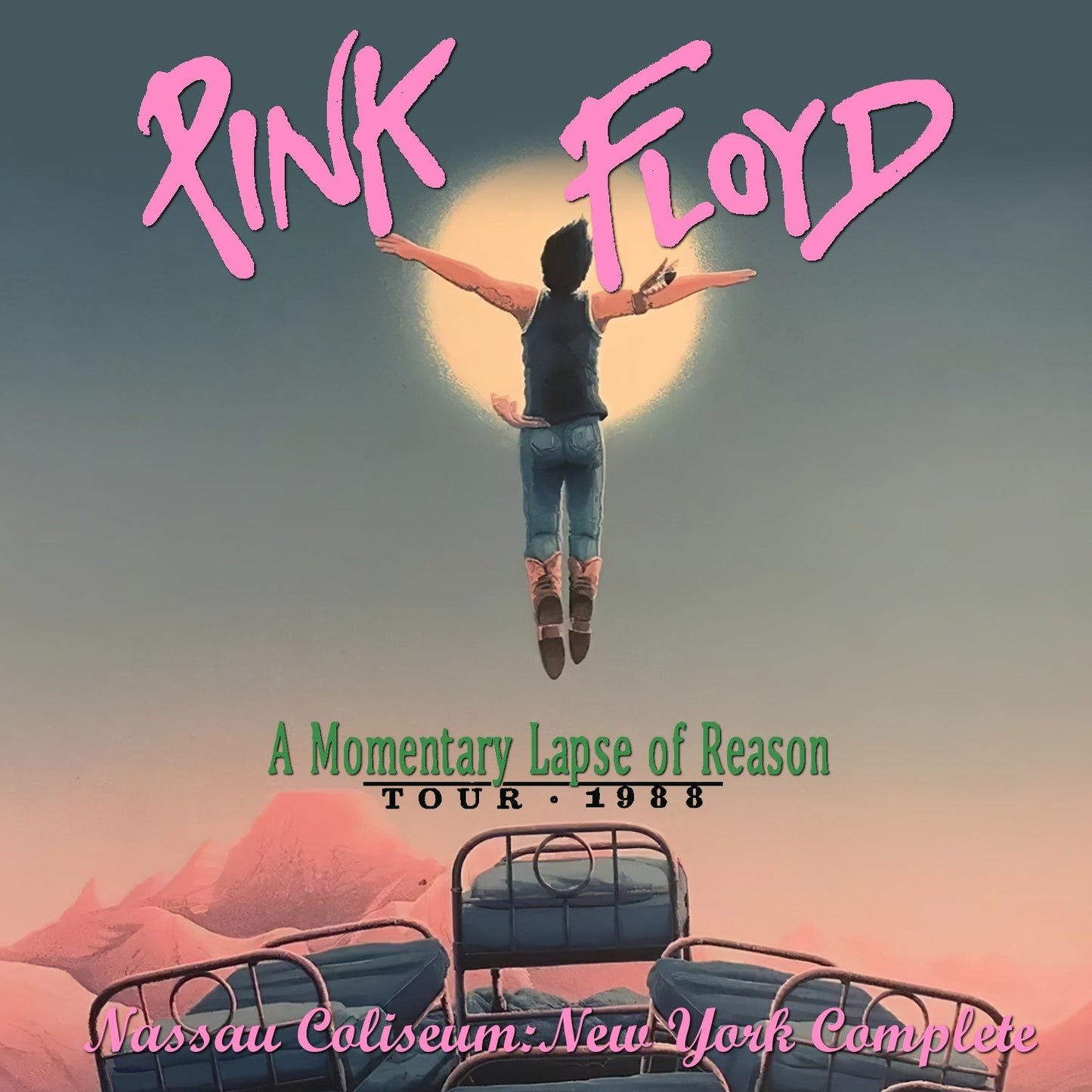 Pink Floyd / A Momentary Lapse of Reason Tour 1988 (2CDR)