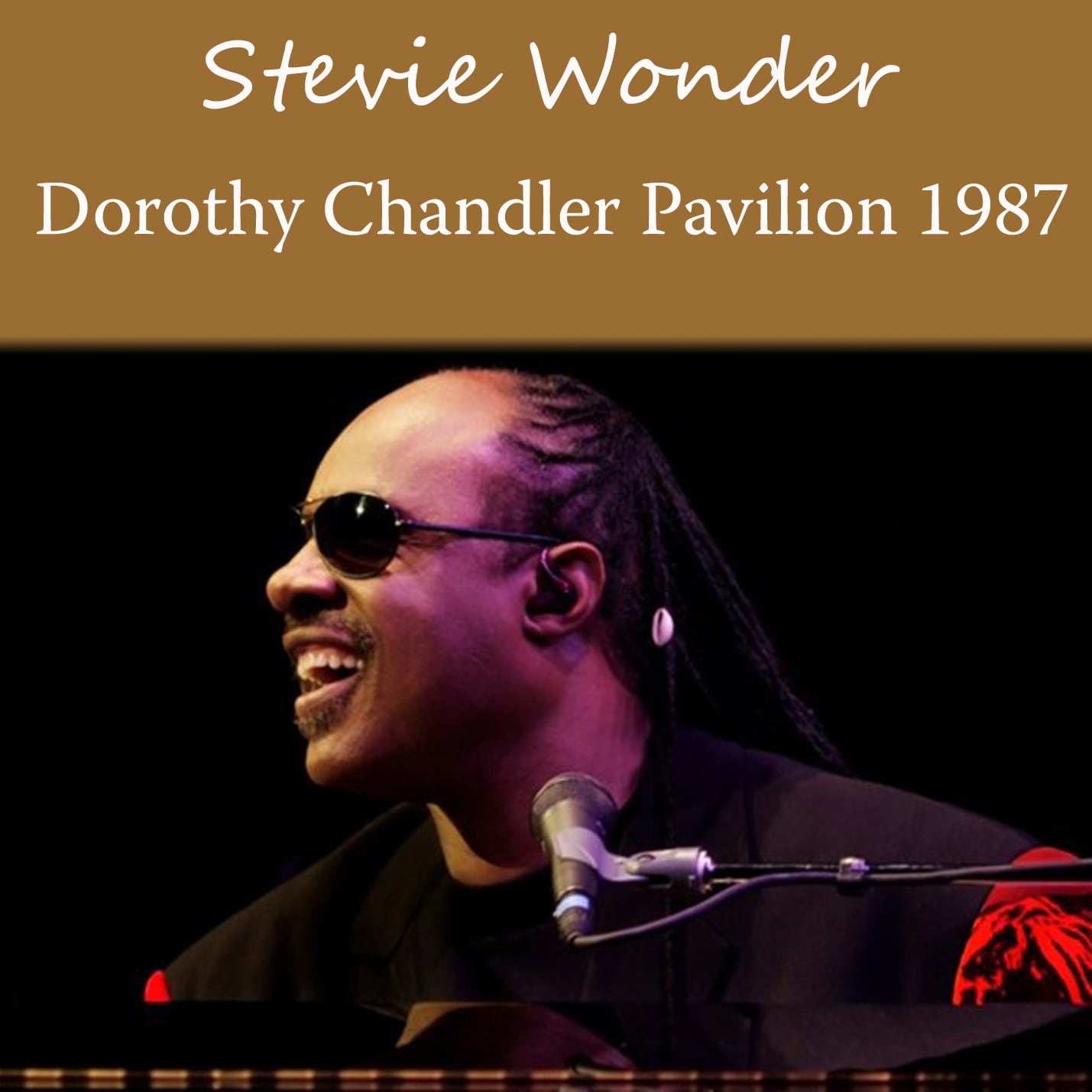 Pabellón Stevie Wonder / Dorothy Chandler 1987 (1 CDR)