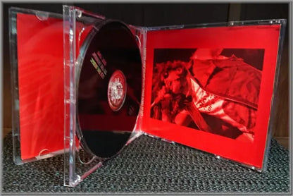 AEROSMITH / LET THE MUSIC DO THE HONKIN' (2CD)