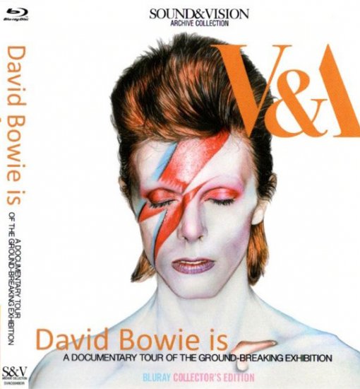 DAVID BOWIE / DAVID BOWIE IS (1BDR)