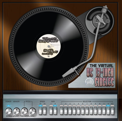 Prince / Fun With Vinyl Vol.21 The Virtual US 12-Inch Singles (Total 12CDR)