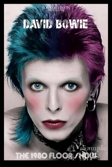 DAVID BOWIE / THE 1980 FLOOR SHOW COMPLETE LOST MASTERS (4DVD)