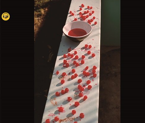 PAUL McCARTNEY / McCartney ATMOS IMMERSIVE SOUND (1CD+1DVD)