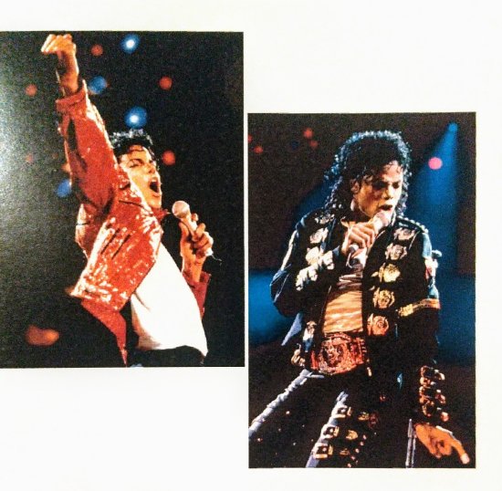 Michael Jackson / Bad Tour Final Show 1989 (2CDR)
