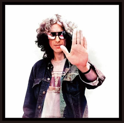 GEORGE HARRISON / LIVING IN THE MATERIAL WORLD AI AUDIO COMPANION (2CD)