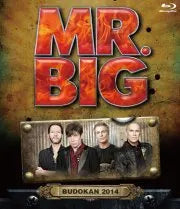 MR. BIG / BUDOKAN 2014 (1HAB)