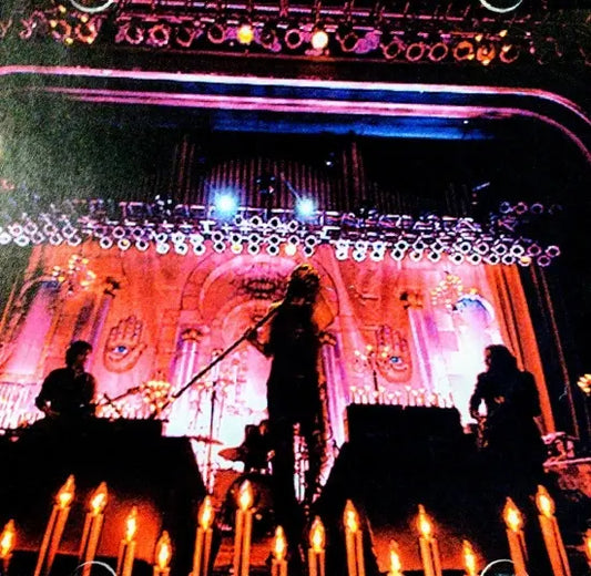 THE BLACK CROWES / Too Hot To Handle (2CDR)