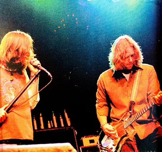 THE BLACK CROWES / Too Hot To Handle (2CDR)