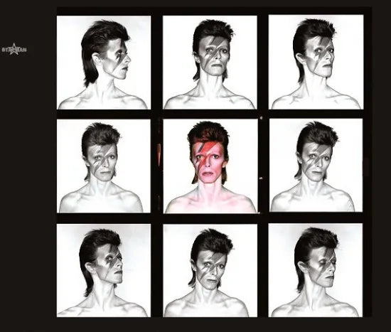 DAVID BOWIE / A LAD INSANE ALTERNATE ALADDIN SANE ALBUM (2CD)