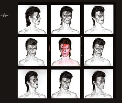 DAVID BOWIE / A LAD INSANE ALTERNATE ALADDIN SANE ALBUM (2CD)
